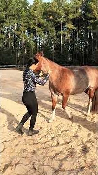 How to start Liberty Training ❤️