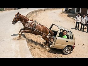 क्या शिलाजीत अपना काम कर पायेगा ?