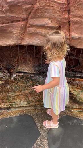 If I could only pick ONE thing to do in Epcot it would hands down be the Moana Journey of Water experience!!!! It’s so fun and interactive! Plus it’s a great way to cool down without missing out on any magic! Pro tip: bring a change of clothes for the kiddos just in case 藍 | Sharee Peplinski at Fairy Godmother Travel | Facebook