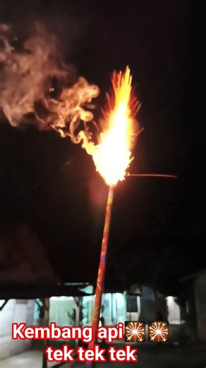 pesta kembang api🎇🎇🎇 #fypシ゚viral #fireworks #kembangapi