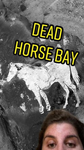 Exploring Dead Horse Bay in Brooklyn, New York
