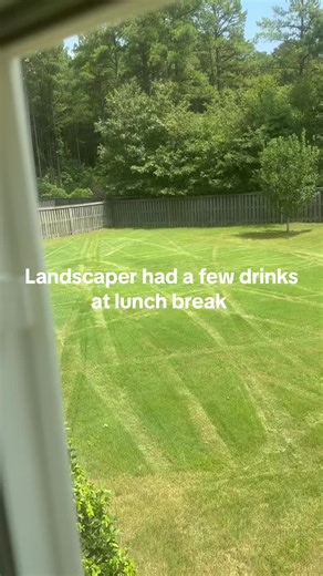 My buddy bought a yard roomba. Little drunk willy tries his best #homeinspection #savannahriverresidential #construction #southcarolina #fypage #georgia #landscaping #grass