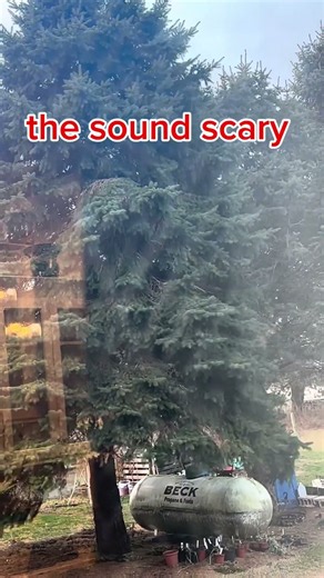 Very windy #windy sounds scary