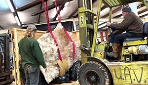 Inside the largest natural history collection in the world — the 147 million specimens hidden in the Smithsonian