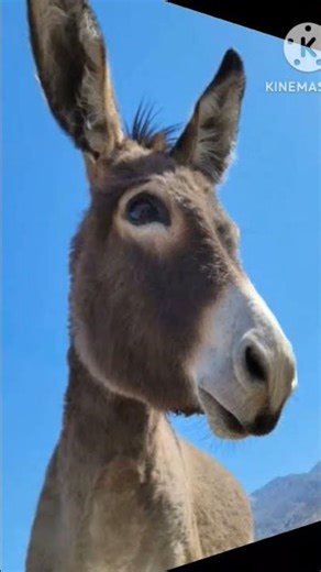 Different Type Of Words #education #educationalvideo