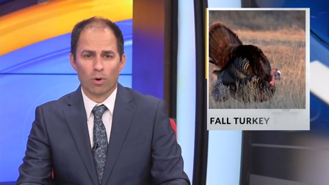 Fall turkey, deer season, licenses, and stamps at NDGF