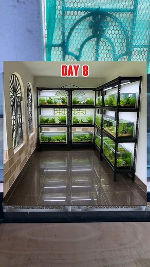 13K views · 589 reactions | From Boring to Beautiful!  Day 8 of my...