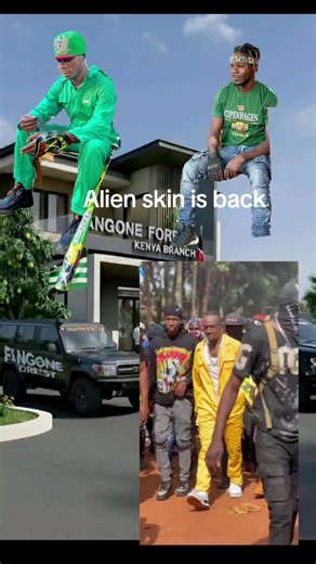 Alien Skin Releases New Song Featuring Bebe Cool