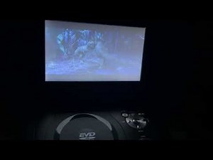 When dinosaurs roamed America T-Rex night time scene