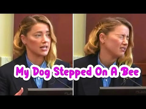 Amber Heard’s “My Dog Stepped On A Bee” Clip Goes Viral