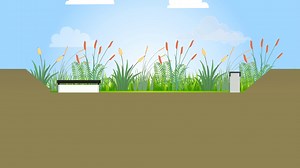 Rain gardens are specially-designed #ABCWaters features that use plants and soil to naturally treat rainwater runoff, and slow down their discharge into nearby drains and canals. They also help to beautify the landscape and provide habitats for wildlife – isn’t that neat? 🌾 Watch the video to learn more about rain gardens and how they work! | PUB, Singapore's National Water Agency