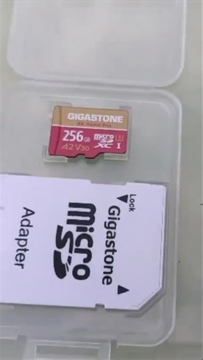 Never Run Out of Space Again! 💾 256GB 4K MicroSD