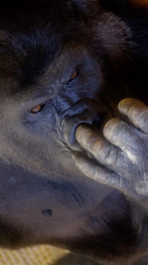 Eyes that are bothering you