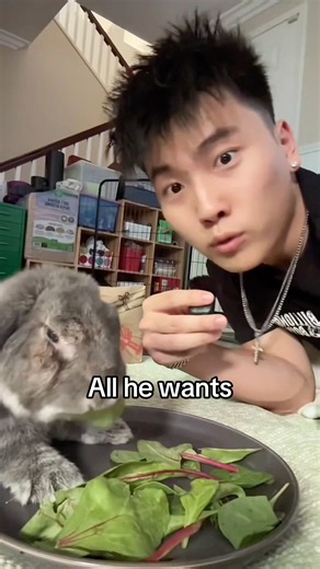 my bunny needs your help!! #pets #bunny