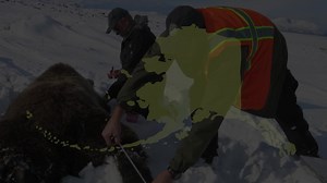 6.9K views · 123 reactions | Alaska has over 98 percent of the United...