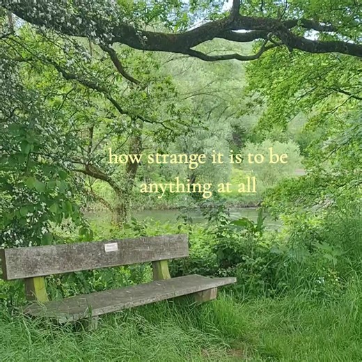 Exploring Neutral Milk Hotel's 'In the Aeroplane Over the Sea'