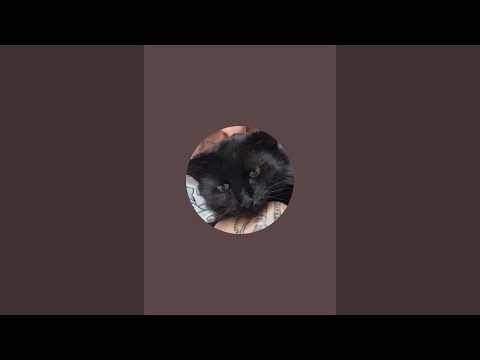 Ambers_2_handies🇬🇧 is live!