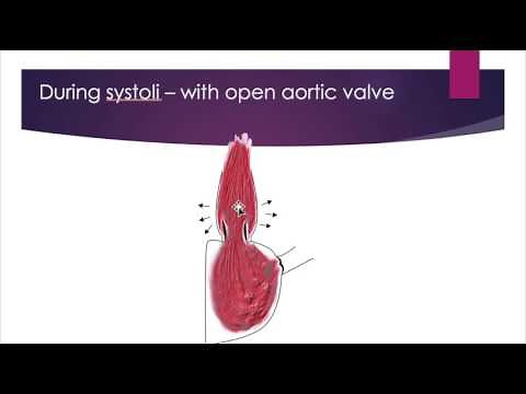 Intracranial Pressure (ICP) Waves