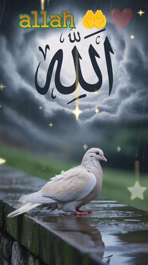 yaa allah 🤲❤️🕋 Allah ya Rahman yaa allah 🤲❤️ #bgjan #song #love #allah