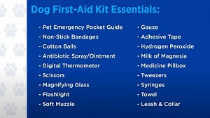 17 reactions | It's better to be safe than sorry. Learn what to put in your dog's first aid kit. | AKCtv | Facebook