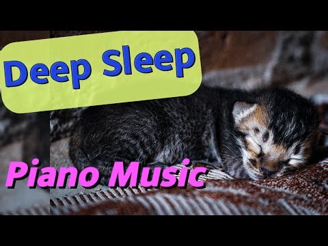 Gentle Piano for Sleep 😴 | 8 Hour Relaxation & Stress Relief