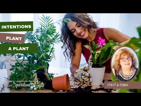 Be Intentional | Plant a New Plant & Ground Your Intentions