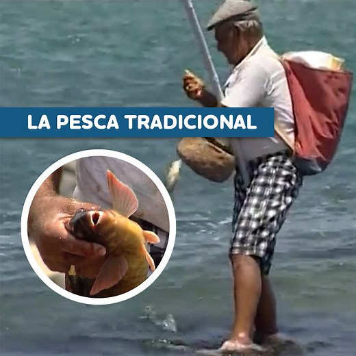 Pesca tradicional y técnicas de caña 🎣 | Eugenio Monesma Documentales