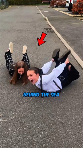 What is the meaning bring the sea lion trend?! 🦭🤐 #yt #sgorts