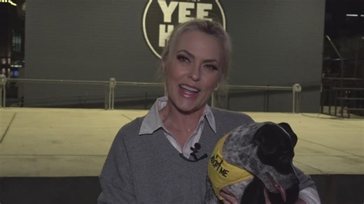 DWTS finalist Elaine Hendrix spent evening in Knoxville to raise money for local animal shelter