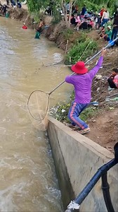 Fisherman cast net fish get a lot of fish under dam 🐠🐋🐟. #fishing #damfishing #fish #fishinglife #dam #netfishing #reels #usa | Chaly Fishing