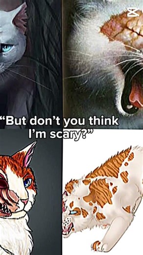 Brightheart is the most beautiful cat ever along with silverstream