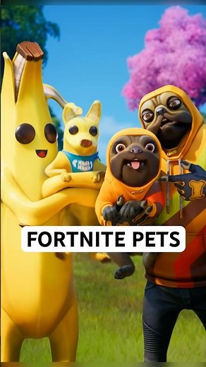 NEW Fortnite Pets Trailer 🥰 #fortnite #fortniteclips