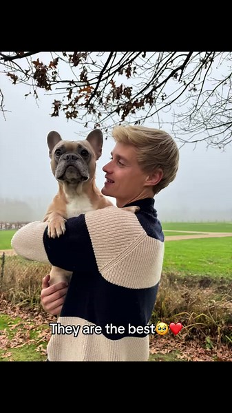 Happiest 6th birthday to the funniest sweet Gremlin Penny🎉🫶🏾#dog #dogs #frenchbulldog #equestrian