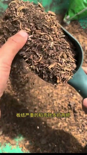 Revive Your Garden with Old Soil: Easy 2-Step Guide
