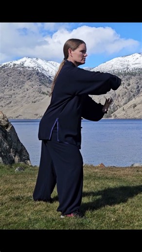 Grasp the Bird’s Tail - Essential Yang Family Tai Chi Movements
