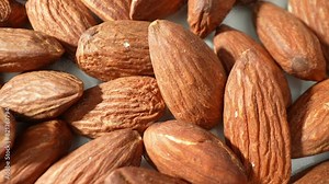 Prunus dulcis seeds, commonly known as almonds, boast a bounty of vitamin E, magnesium, and heart-healthy fats, crafting a nutritious snack.