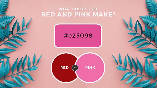 Red and Pink Mixed! What Color Do Red and Pink Make?
