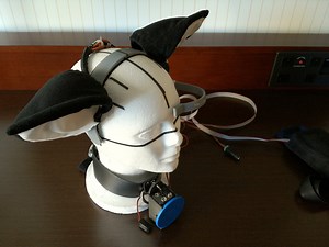 These Mind-Controlled Cat Ears Move With Your Mood