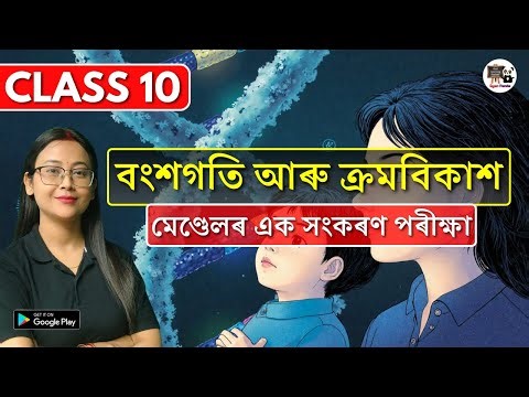 Class 10 Science | বংশগতি আৰু ক্ৰমবিকাশ | মেণ্ডেলৰ এক সংকৰণ পৰীক্ষা | SEBA/ASSEB | HSLC 2026
