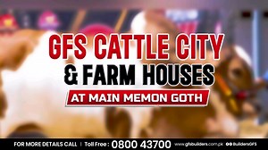GFS Builders and Developers proudly introduce GFS Cattle City and Farm Houses, featuring the remarkable GFS CATTLE FARM! This exceptional venture in Karachi offers cattle farmers a lucrative business opportunity, providing various support options to help establish and grow their enterprises. Located at Main Memon Goth, GFS Cattle Farm offers land sizes of 1000, 2000, and 4000 square yards, with an affordable initial monthly installment of 100,000 PKR. The project boasts amenities like; a reliabl