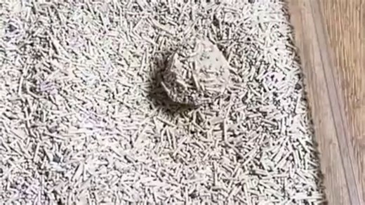 看看#pidan #pidan猫砂 都说这个牌子的猫砂好用，今天实测来