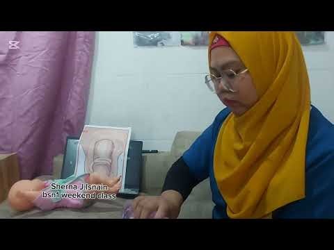 Male genitalia assessment Return demonstration