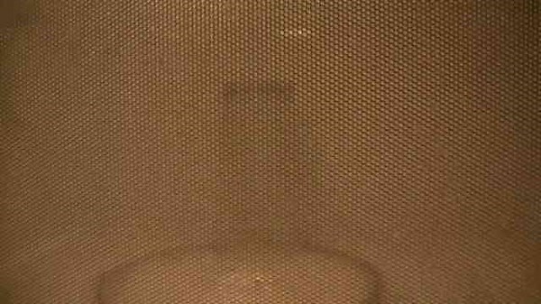 Grape Plasma In Microwave