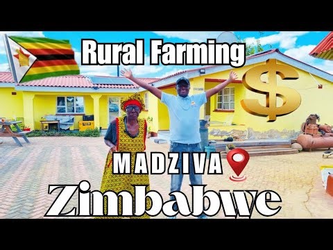 Farming at 80 years: Grandma's Secrets To Thriving In Rural Zimbabwe 🇿🇼