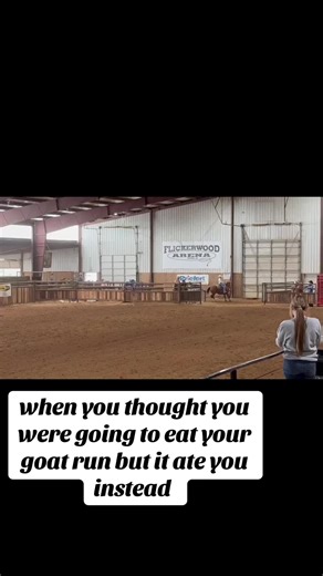 Humorous Goat Tying Fails in Rodeo