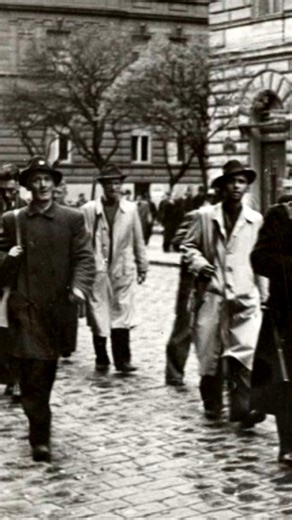 5.3K views · 106 reactions | RADIO PRAGUE: "Monde de la radio. Cent ans de radio, cent ans de son." un livre à découvrir sur la page Radio Magazine (téléchargement gratuit) | Radio Magazine | Facebook