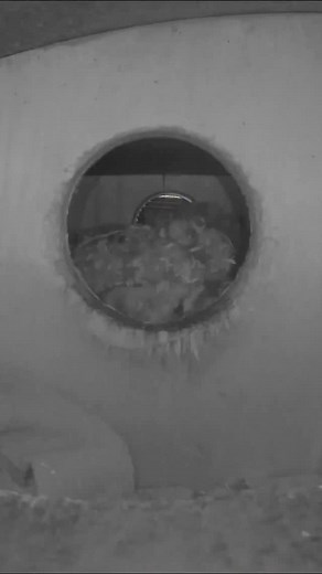 6.5K views · 9.4K reactions | Lieutenant Dan says good night to...