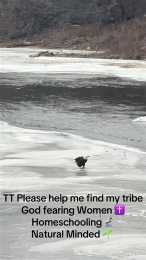 Tik Tok Please help me find my tribe and push this to the right people 🙏🏻 God fearing Women ✝️ Homeschooling 🔬 Natural Minded 🌱