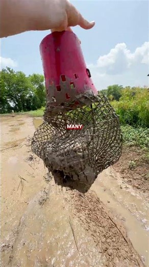HOOK ON THE CRAWFISH BOAT?!