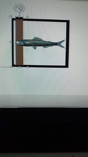 Fish and Bear Animation: A Minimalist Story